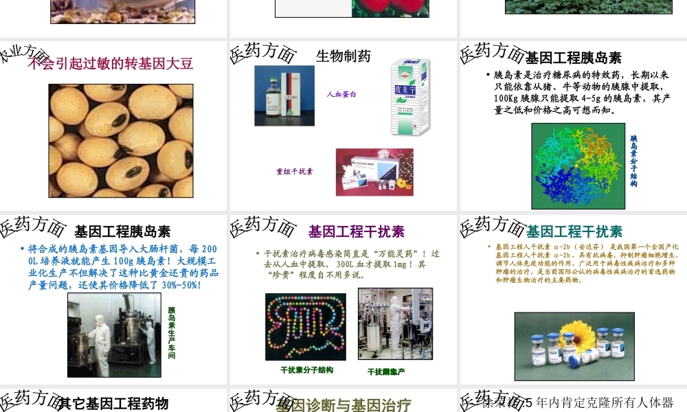 八年级生物下册 24.2 关注生物技术课件 （新版）苏教版-（新版）苏教版初中八年级下册生物课件