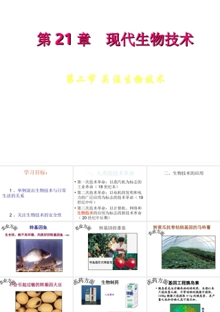 八年级生物下册 24.2 关注生物技术课件 （新版）苏教版-（新版）苏教版初中八年级下册生物课件