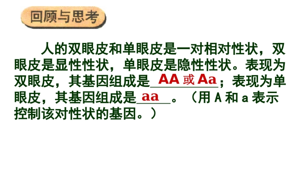 八年级生物下册 7.2.3 基因的显性和隐性（第2课时）课件 （新版）新人教版-（新版）新人教版初中八年级下册生物课件