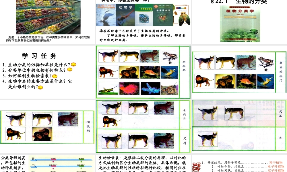 八年级生物下册 22.1 生物的分类课件 （新版）北师大版-（新版）北师大版初中八年级下册生物课件