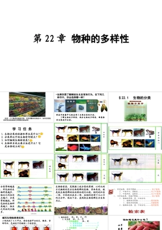 八年级生物下册 22.1 生物的分类课件 （新版）北师大版-（新版）北师大版初中八年级下册生物课件