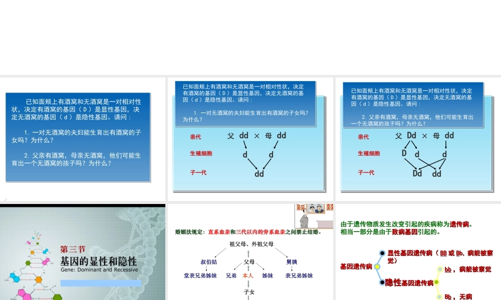 八年级生物下册 7.2.3 基因的显性和隐性（第2课时）课件 （新版）新人教版-（新版）新人教级下册生物课件