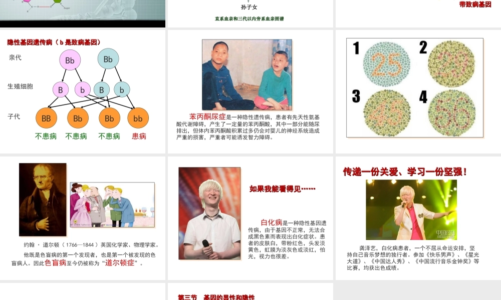 八年级生物下册 7.2.3 基因的显性和隐性（第2课时）课件 （新版）新人教版-（新版）新人教级下册生物课件