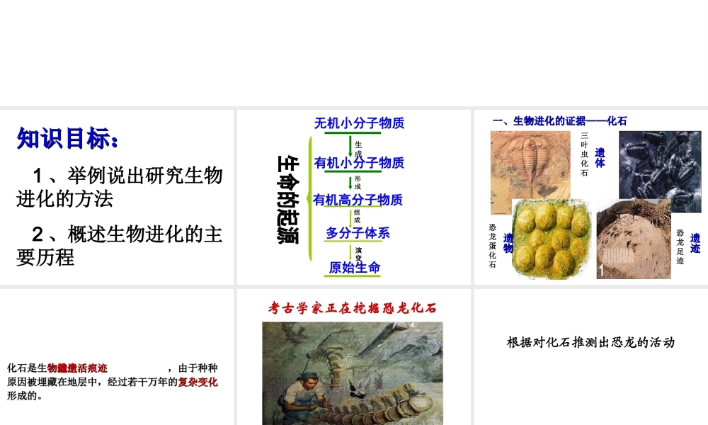 八年级生物下册 7.3.2 生物进化的历程课件 （新版）新人教版-（新版）新人教级下册生物课件