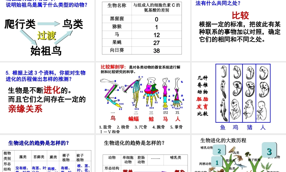 八年级生物下册 7.3.2 生物进化的历程课件 （新版）新人教版-（新版）新人教级下册生物课件