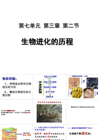 八年级生物下册 7.3.2 生物进化的历程课件 （新版）新人教版-（新版）新人教级下册生物课件