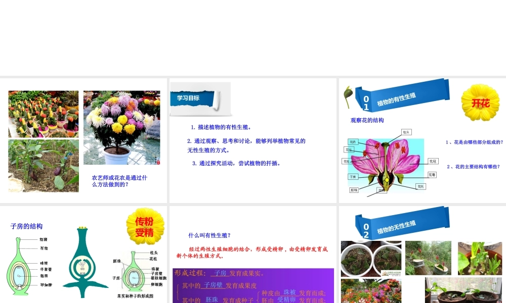 八年级生物下册 7.1.1 植物的生殖课件 （新版）新人教版-（新版）新人教版初中八年级下册生物课件