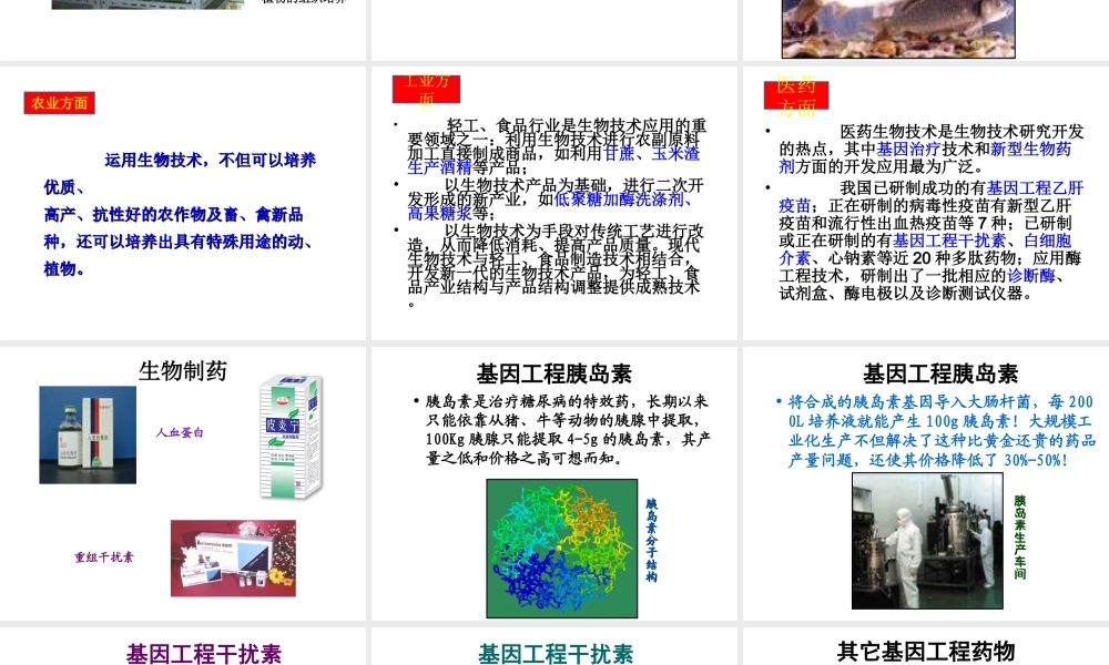 八年级生物下册 24.2.关注生物技术课件 （新版）苏教版-（新版）苏教版初中八年级下册生物课件