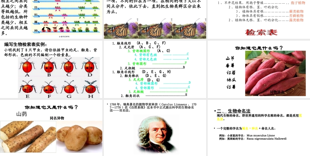 八年级生物下册 22.1 生物的分类课件 （新版）北师大版-（新版）北师大级下册生物课件