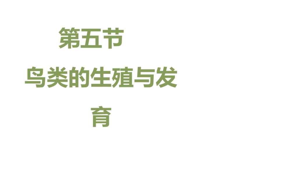 八年级生物下册 8.21.5《鸟类的生殖与发育》课件 苏教版-苏教级下册生物课件