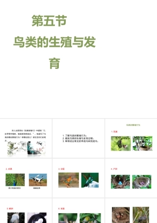 八年级生物下册 8.21.5《鸟类的生殖与发育》课件 苏教版-苏教级下册生物课件