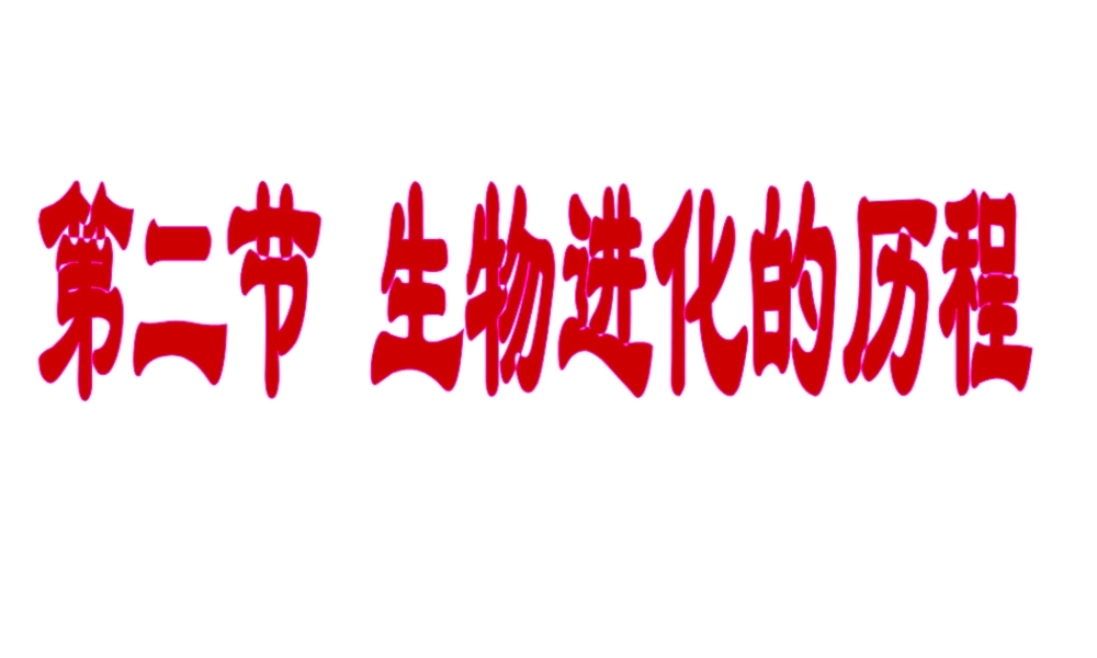 八年级生物下册 7.3.2 生物进化的历程课件 （新版）新人教版