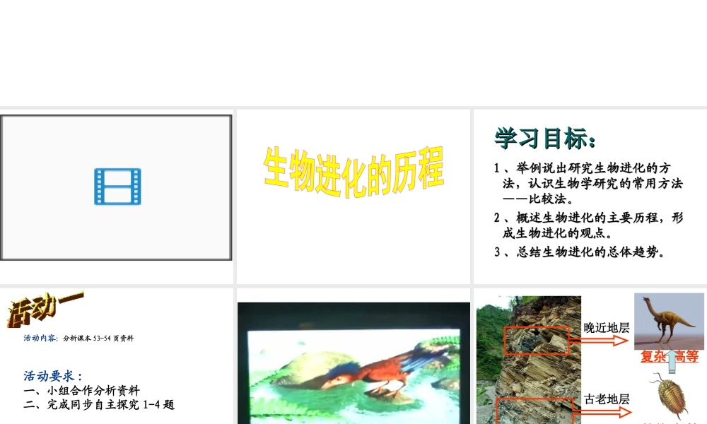 八年级生物下册 7.3.2 生物进化的历程课件 （新版）新人教版