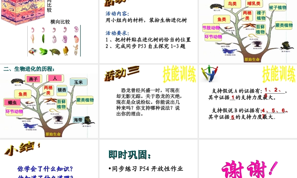 八年级生物下册 7.3.2 生物进化的历程课件 （新版）新人教版