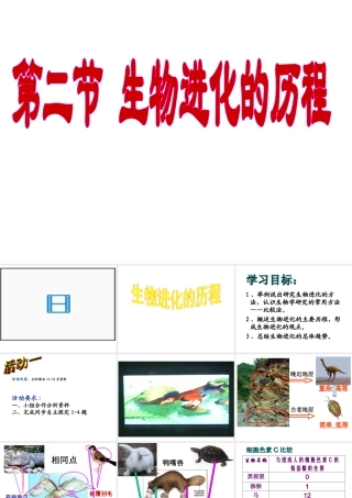 八年级生物下册 7.3.2 生物进化的历程课件 （新版）新人教版