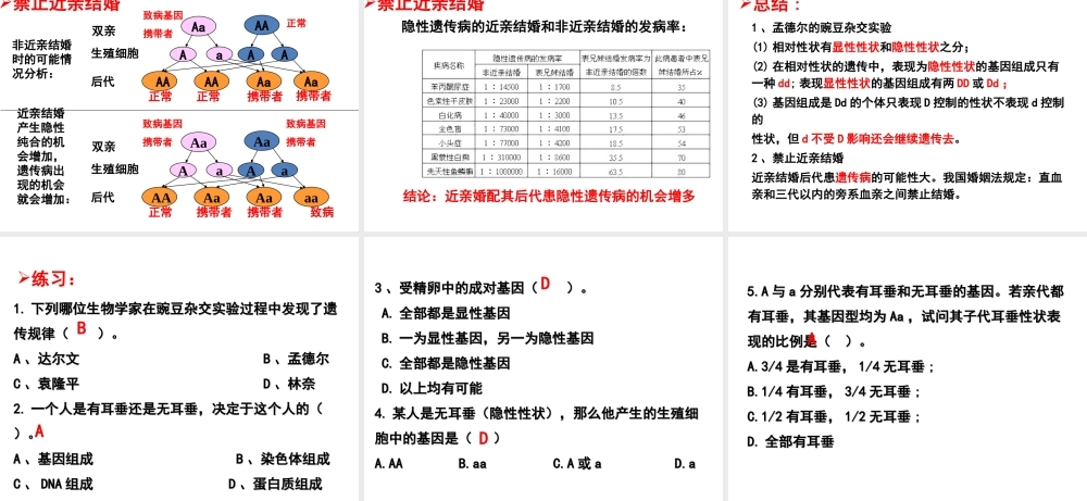 八年级生物下册 7.2.3 基因的显性和隐性教学课件 （新版）新人教版-（新版）新人教版初中八年级下册生物课件