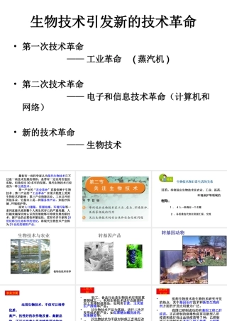 八年级生物下册 24.2.关注生物技术课件 （新版）苏教版-（新版）苏教级下册生物课件