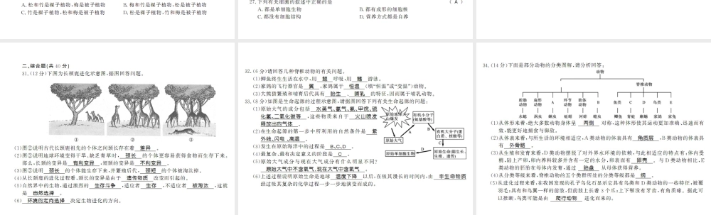 八年级生物下册 测评卷课件 （新版）北师大版-（新版）北师大版初中八年级下册生物课件