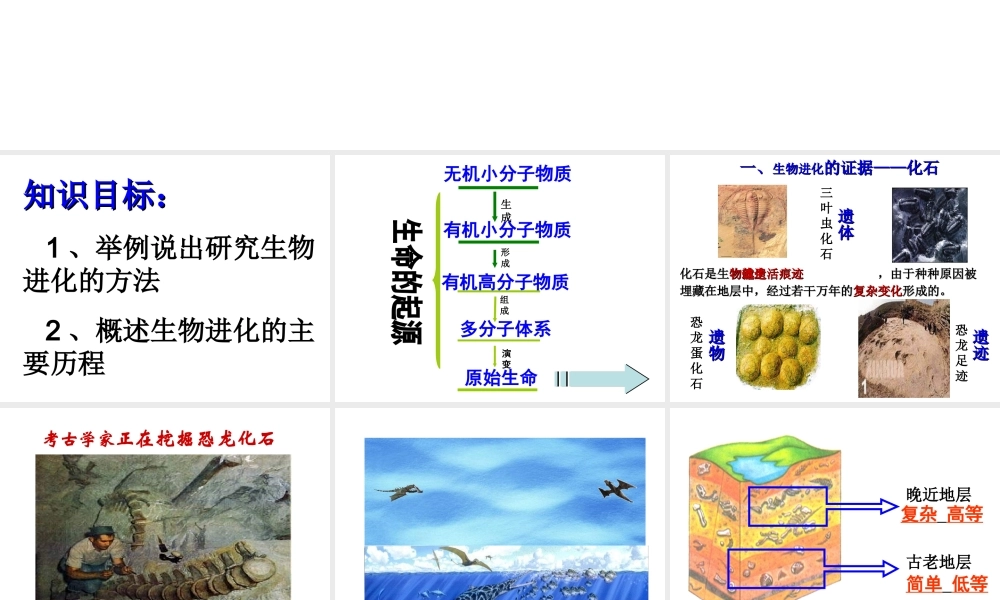 八年级生物下册 7.3.2 生物进化的历程课件 新人教版