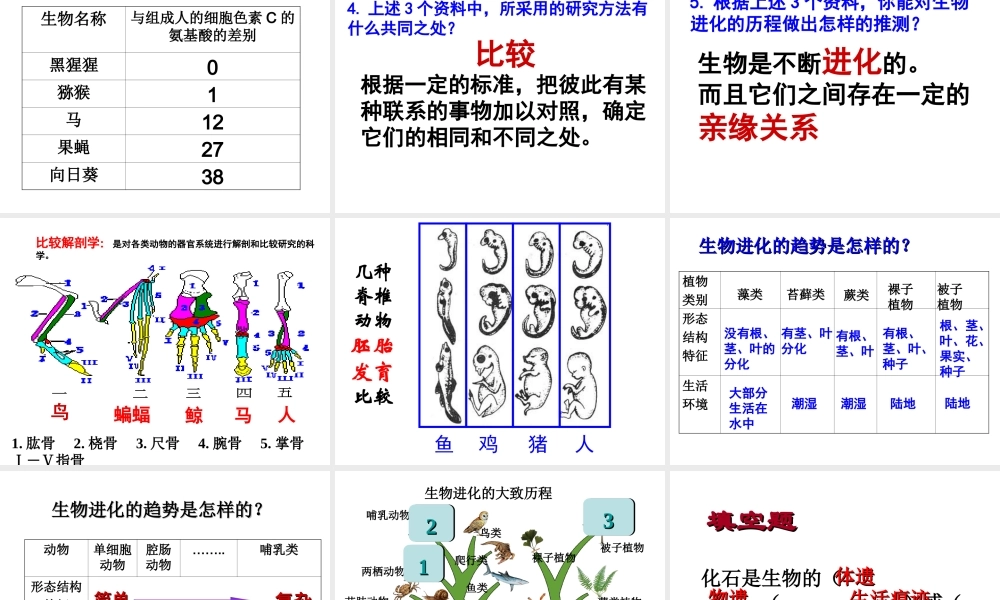 八年级生物下册 7.3.2 生物进化的历程课件 新人教版