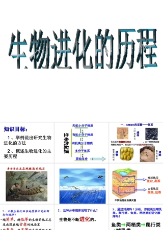 八年级生物下册 7.3.2 生物进化的历程课件 新人教版