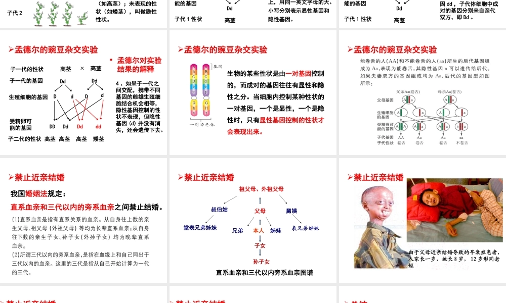 八年级生物下册 7.2.3 基因的显性和隐性教学课件 （新版）新人教版-（新版）新人教级下册生物课件