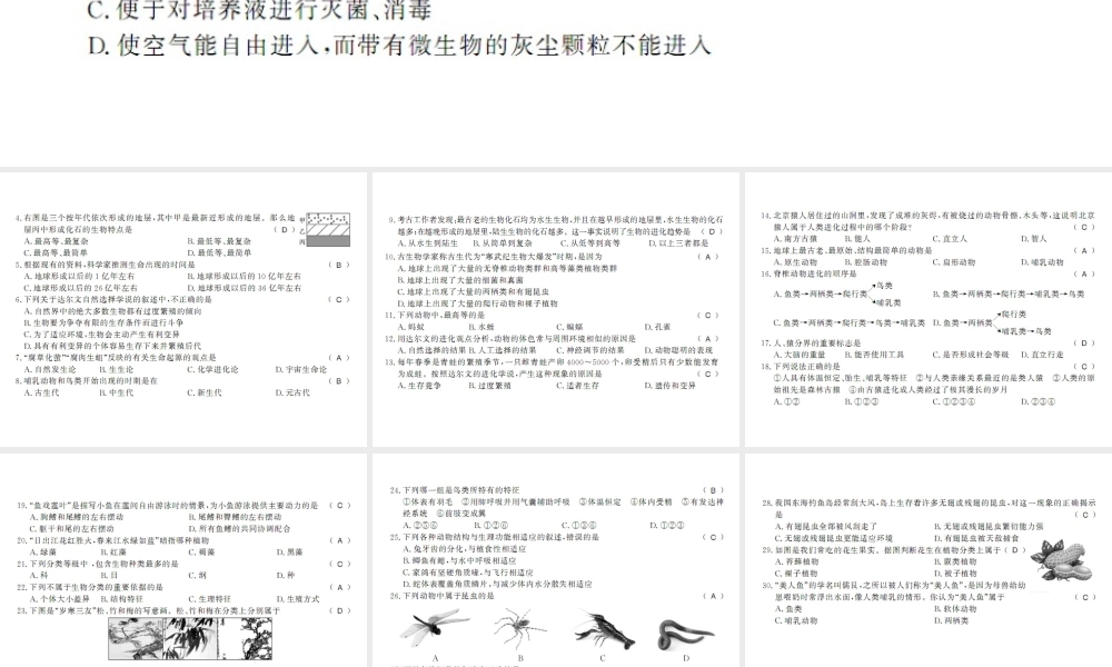 八年级生物下册 测评卷课件 （新版）北师大版-（新版）北师大级下册生物课件