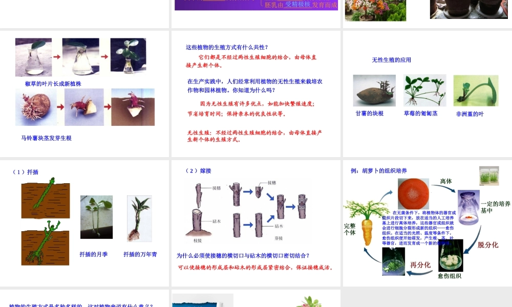 八年级生物下册 7.1.1 植物的生殖课件 （新版）新人教版-（新版）新人教级下册生物课件