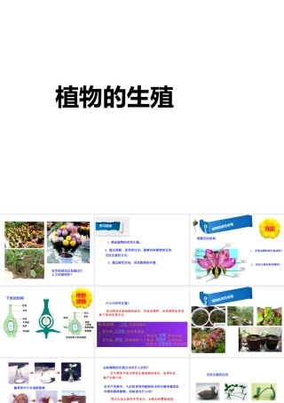 八年级生物下册 7.1.1 植物的生殖课件 （新版）新人教版-（新版）新人教级下册生物课件