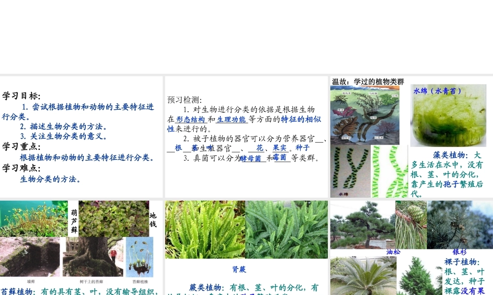 八年级生物下册 22.1 生物的分类课件 北师大版-北师大级下册生物课件