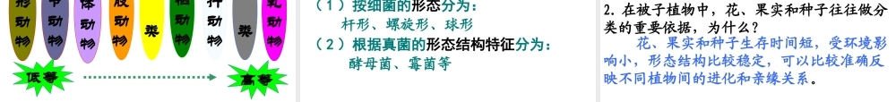 八年级生物下册 22.1 生物的分类课件 北师大版-北师大级下册生物课件