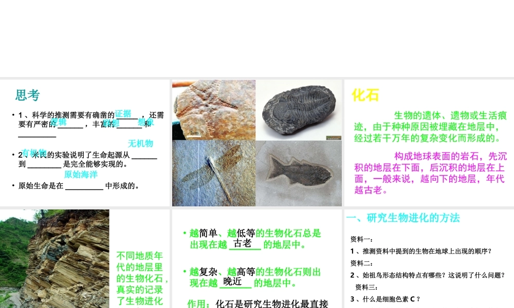 八年级生物下册 7.3.2 生物进化的历程课件 新人教版-新人教版初中八年级下册生物课件