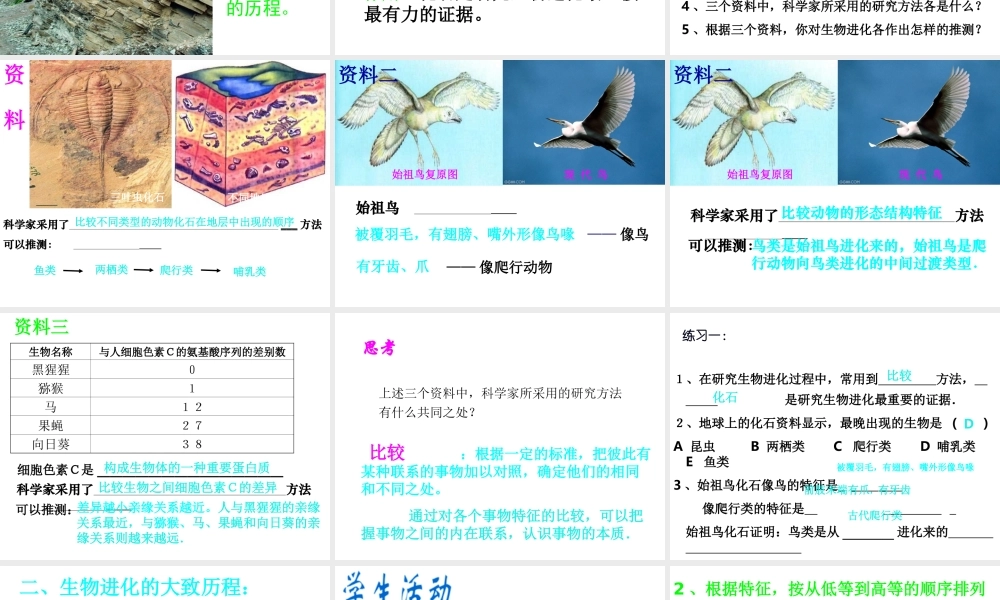 八年级生物下册 7.3.2 生物进化的历程课件 新人教版-新人教版初中八年级下册生物课件