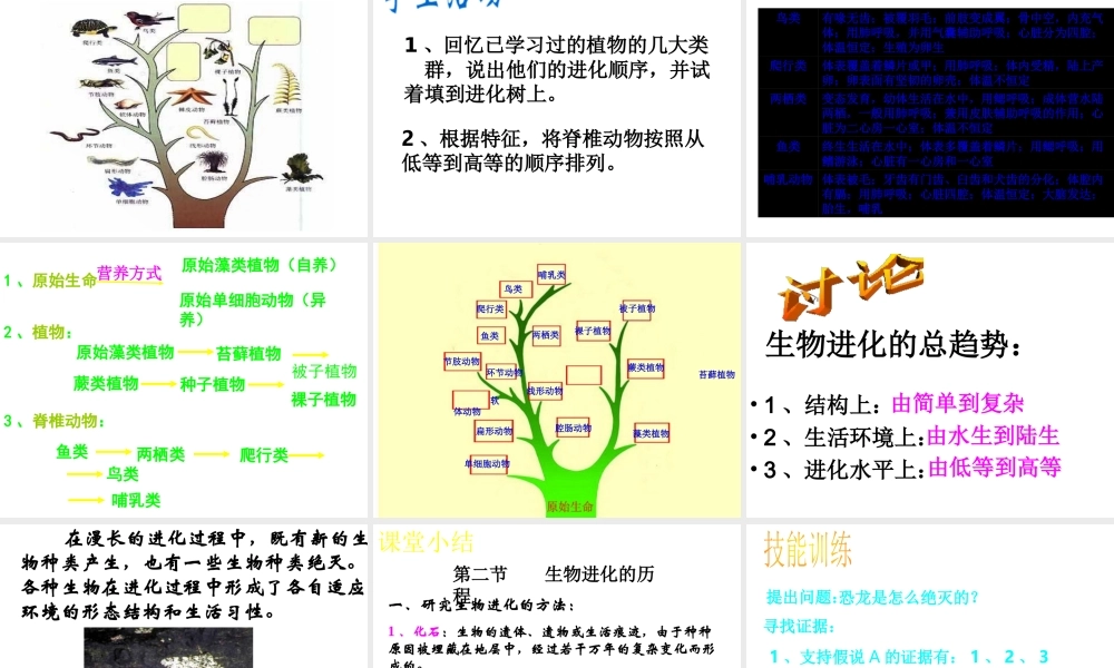 八年级生物下册 7.3.2 生物进化的历程课件 新人教版-新人教版初中八年级下册生物课件