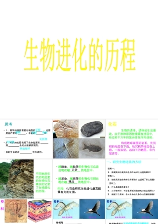八年级生物下册 7.3.2 生物进化的历程课件 新人教版-新人教版初中八年级下册生物课件