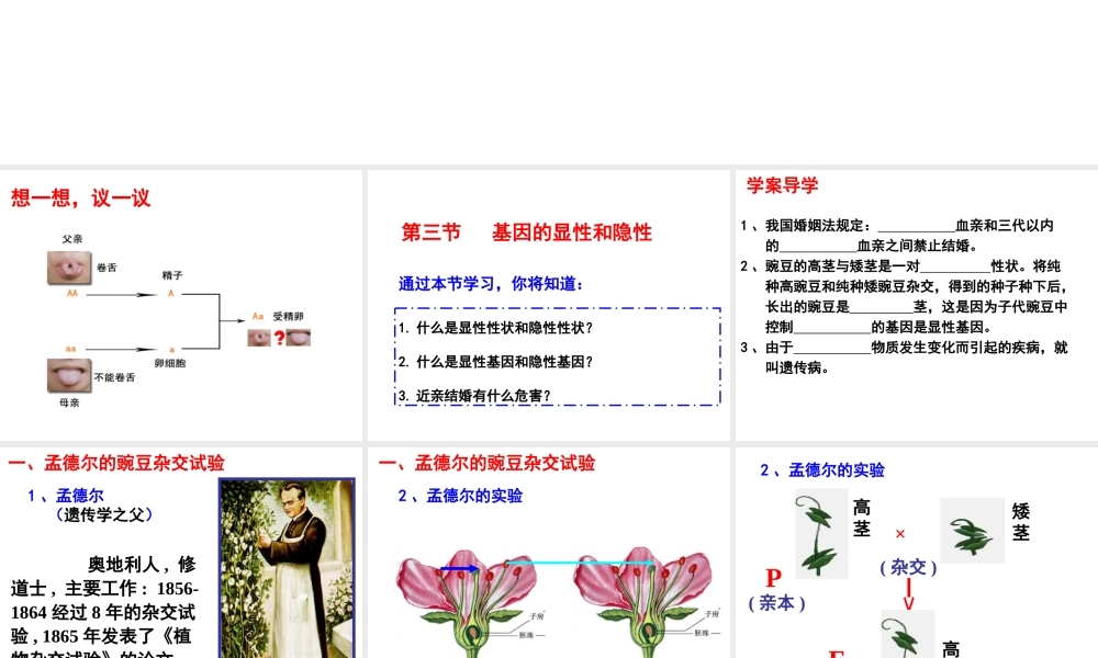 八年级生物下册 7.2.3 基因的显性和隐性课件 （新版）新人教版-（新版）新人教版初中八年级下册生物课件