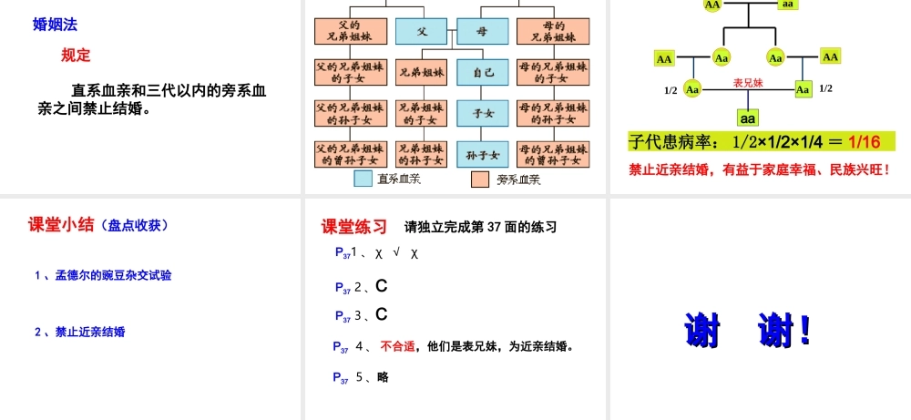 八年级生物下册 7.2.3 基因的显性和隐性课件 （新版）新人教版-（新版）新人教版初中八年级下册生物课件