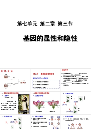 八年级生物下册 7.2.3 基因的显性和隐性课件 （新版）新人教版-（新版）新人教版初中八年级下册生物课件