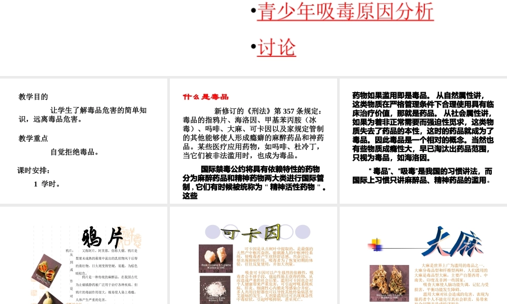 八年级生物下册 24.2《珍爱生命 拒绝毒品》课件 苏科版