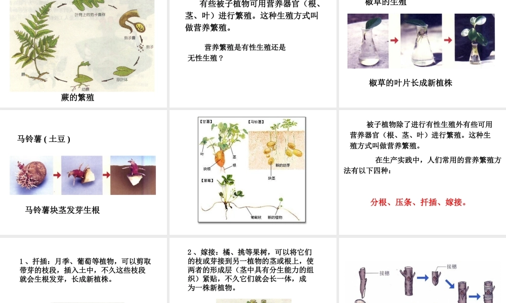 八年级生物下册 7.1.1 植物的生殖课件 新人教版-新人教版初中八年级下册生物课件