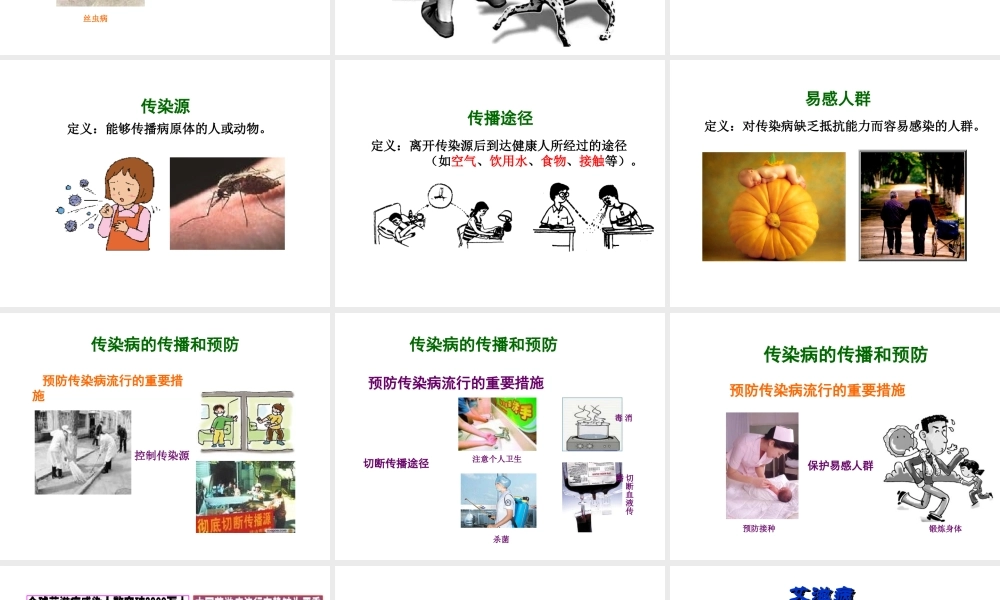 八年级生物下册 第10单元 第25章 第1节 传染病课件 苏教版-苏教版初中八年级下册生物课件