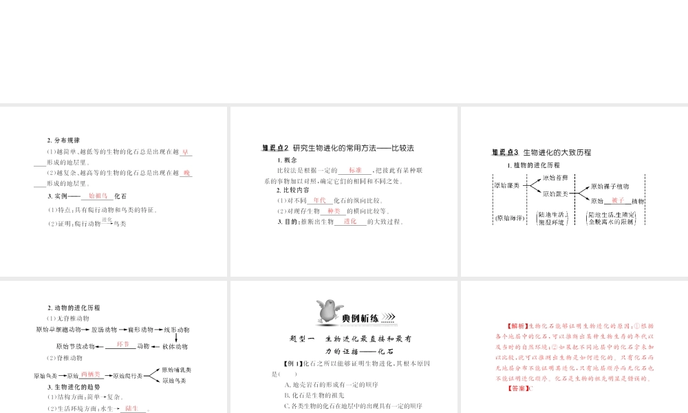 八年级生物下册 7.3.2《生物进化的历程》配套课件 人教新课标版