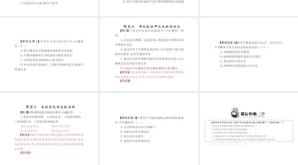 八年级生物下册 7.3.2《生物进化的历程》配套课件 人教新课标版