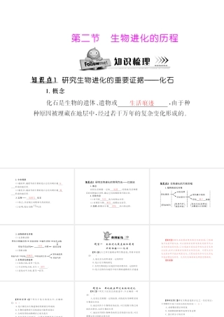 八年级生物下册 7.3.2《生物进化的历程》配套课件 人教新课标版