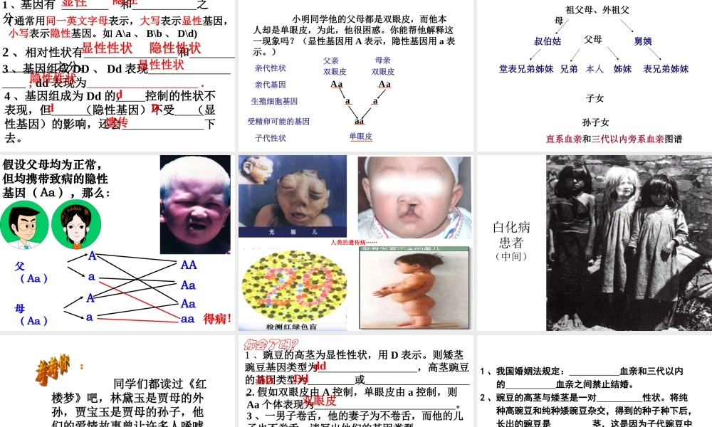 八年级生物下册 7.2.3 基因的显性和隐性课件 新人教版
