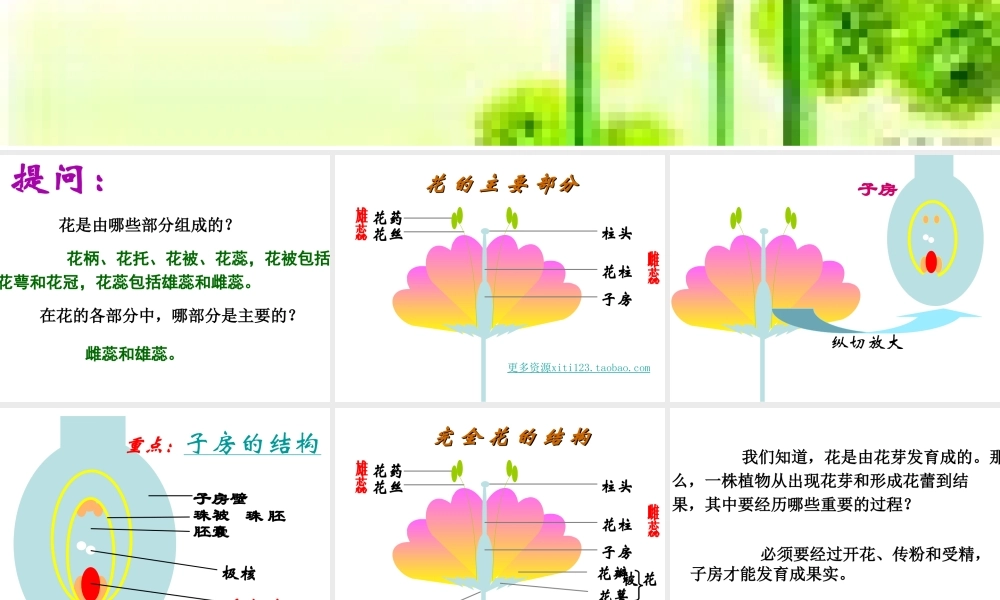 八年级生物下册 7.1.1 植物的生殖课件 新人教版-新人教级下册生物课件
