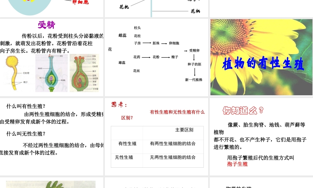 八年级生物下册 7.1.1 植物的生殖课件 新人教版-新人教级下册生物课件