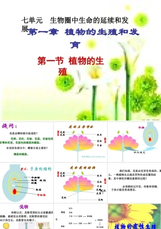 八年级生物下册 7.1.1 植物的生殖课件 新人教版-新人教级下册生物课件