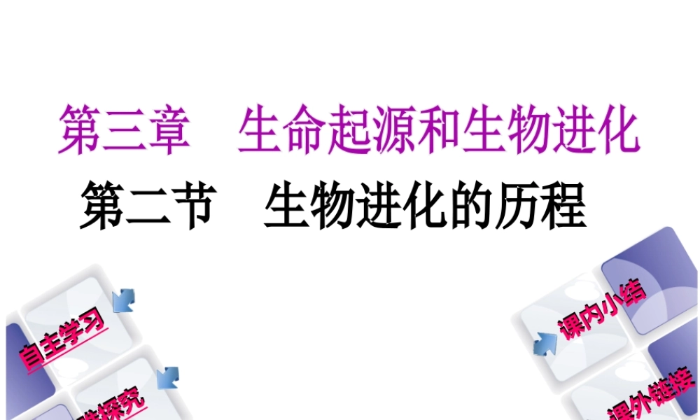 八年级生物下册 7.3.2生物进化的历程课件 （新版）新人教版-（新版）新人教版初中八年级下册生物课件