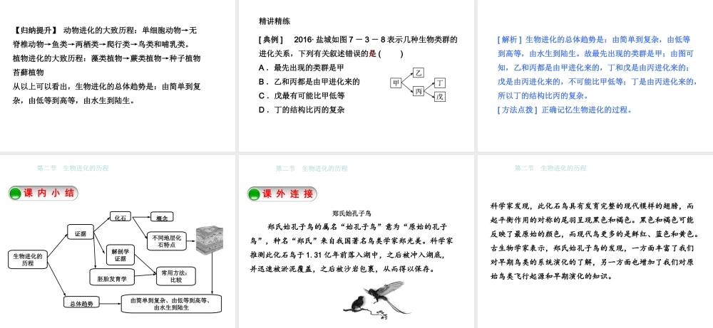 八年级生物下册 7.3.2生物进化的历程课件 （新版）新人教版-（新版）新人教版初中八年级下册生物课件